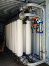 Containerised Water Plants - Ready for application
