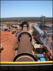 Rotary cascade dryers have the feed materials pass through a rotating cylinder together with a stream of hot gas.