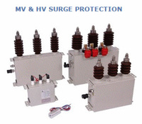 The PROTEC Z family is a range of surge suppressors for protection of medium voltage motors, generators and transformers against transient switching surges
