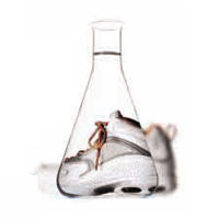 Many TPE producers and compounders are exploring the advantages of Nynas’ naphthenic oils over paraffinic alternatives. It is the unsurpassed solvency and excellent compatibility with SIS, SBS and SEBS based TPE that makes the big difference.