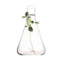 Naphthenic oils are often used as anti-caking agents in fertilisers. The high solvency and excellent low temperature characteristics of Nynas’ oils are two properties that are essential in anticaking production.