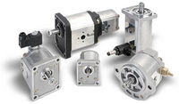 UHL Stock A Wide Range Of Casappa Products including Kappa Cast Iron Gear Pumps