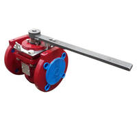 Richter Sleeved Plug Valve With Lever
