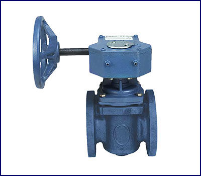 âEccentric plug valve supplierâçå¾çæç´¢ç»æ