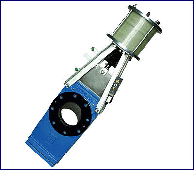 Ported Gate Valve