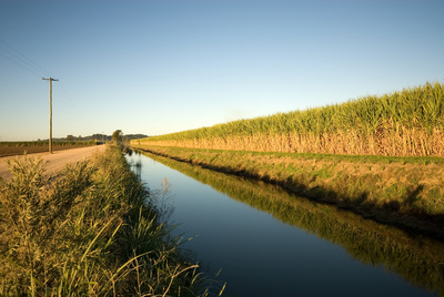 Pumps brand reinintroduced into Africa at Mozambique sugar estate