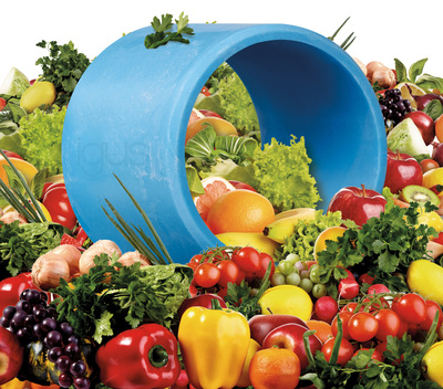 The all-around bearing solutions for food applications